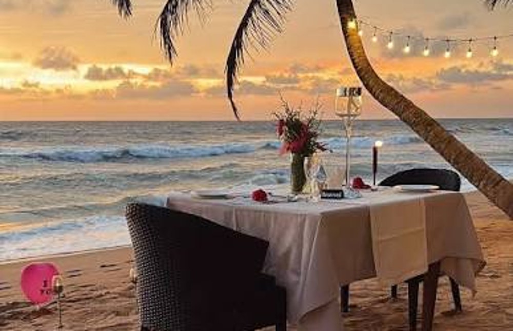 Manorhouse Romance & Tropical Serenity